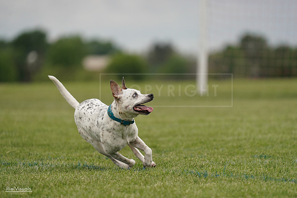 RielVisuals_20240526_134258_SJR08845