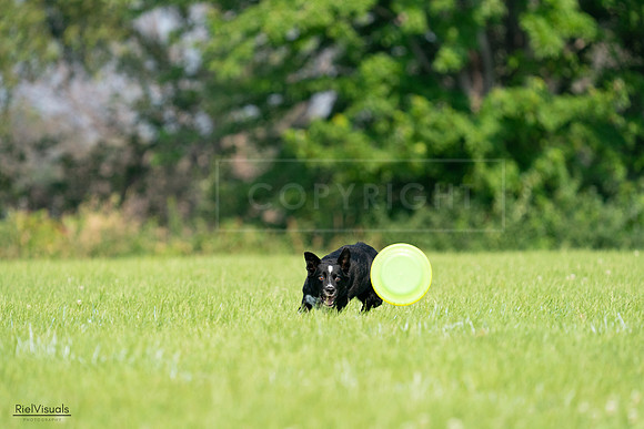 RielVisuals_20240727_094412_SJR07408
