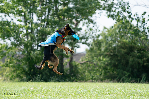 RielVisuals_20240728_150441_SJR00057