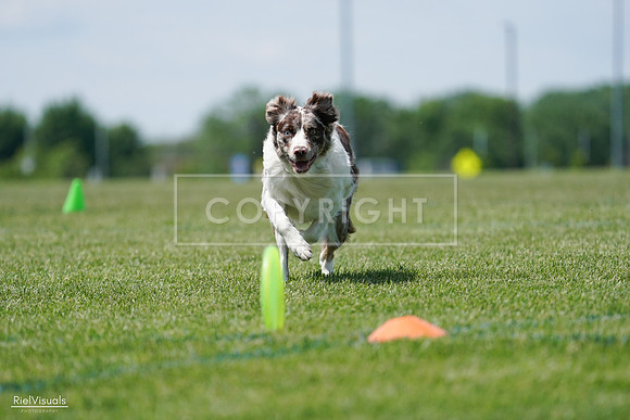 RielVisuals_20240525_120612_SJR08664