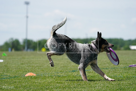 RielVisuals_20240525_122331_SJR09717