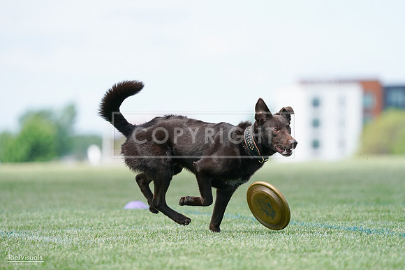 RielVisuals_20240525_120859_SJR08924