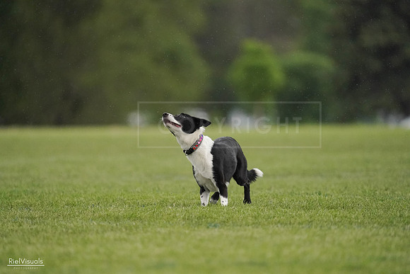 RielVisuals_20240526_093425_SJR00430