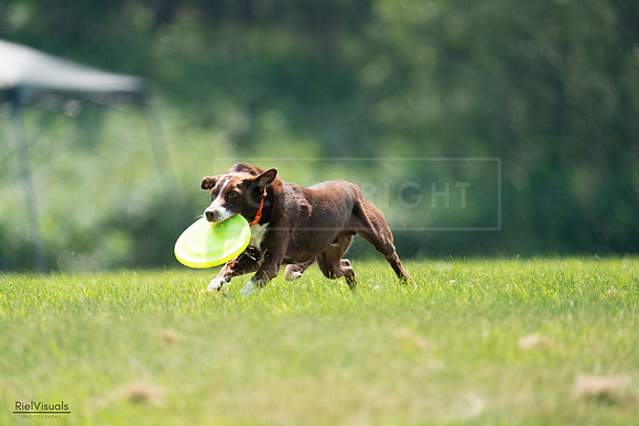 RielVisuals_20240727_123225_SJR05801