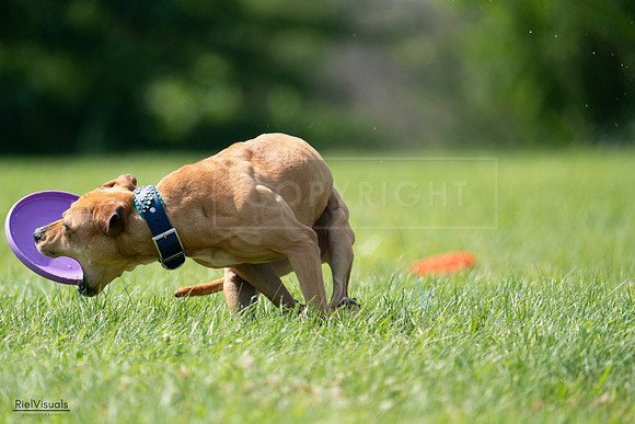 RielVisuals_20240728_150713_SJR00129