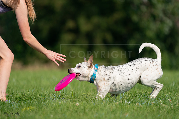 RielVisuals_20240727_095501_SJR08066