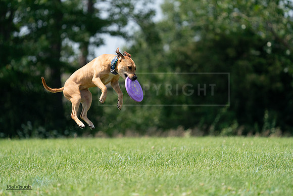 RielVisuals_20240728_142659_SJR08281