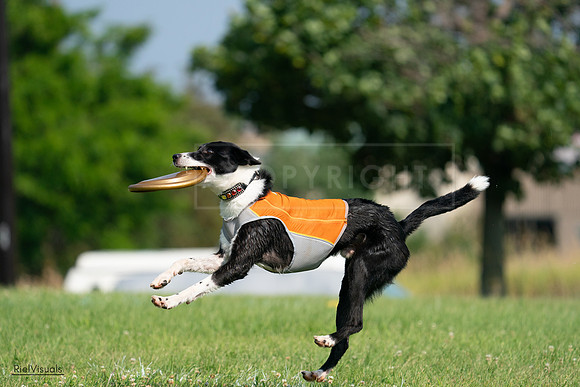 RielVisuals_20240728_101519_SJR07534