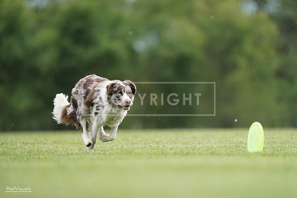 RielVisuals_20240525_161120_SJR03752