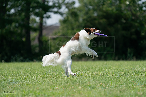 RielVisuals_20240728_145434_SJR09534