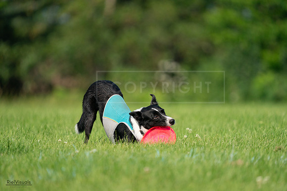 RielVisuals_20240727_094232_SJR07337
