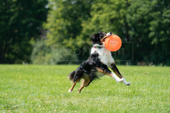 RielVisuals_20240728_121602_SJR03428
