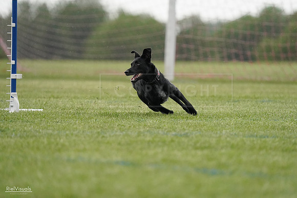 RielVisuals_20240526_091301_SJR09471