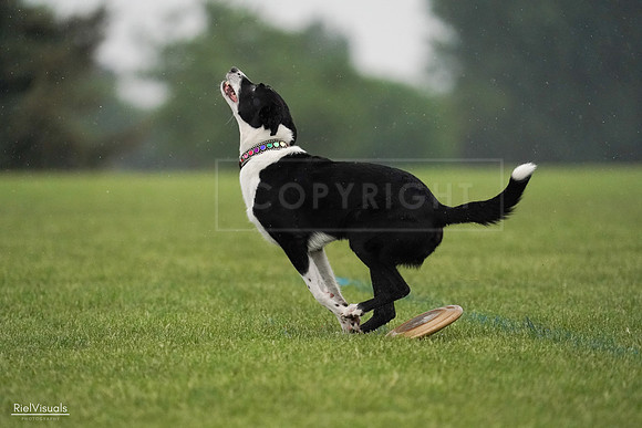 RielVisuals_20240527_094701_SJR08929