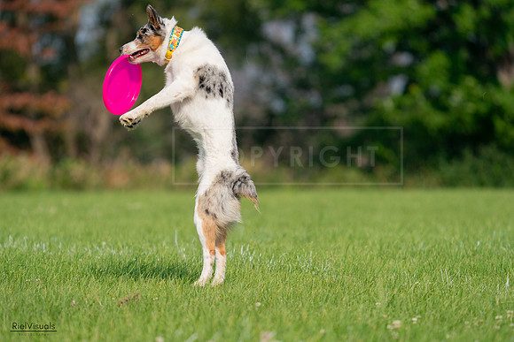 RielVisuals_20240727_092256_SJR06149