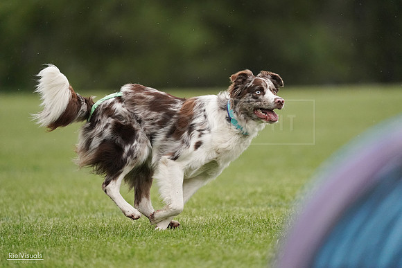 RielVisuals_20240526_091528_SJR09550