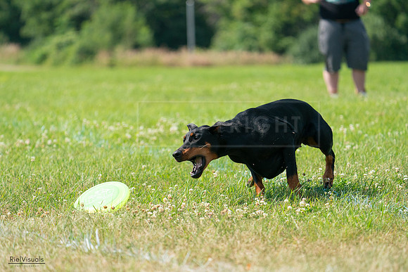 RielVisuals_20240728_103543_SJR08620
