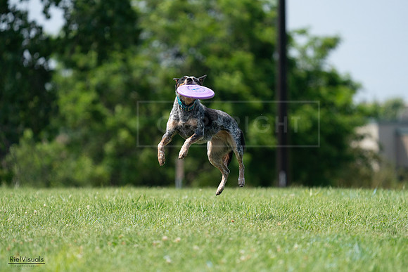 RielVisuals_20240728_145227_SJR09446