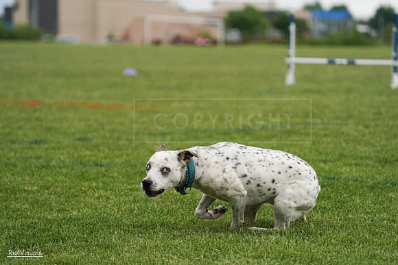RielVisuals_20240526_090756_SJR09168