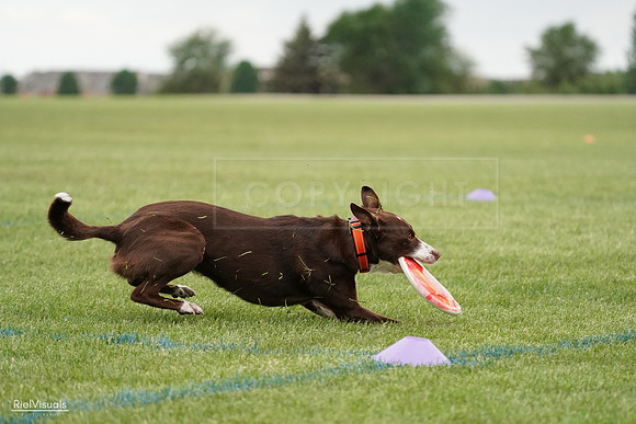 RielVisuals_20240526_131302_SJR07173