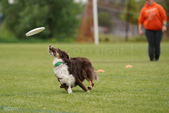 RielVisuals_20240527_132344_SJR09582