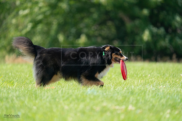 RielVisuals_20240727_140652_SJR09667