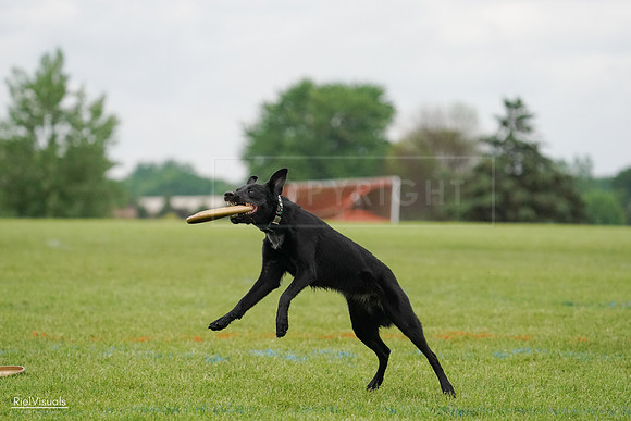 RielVisuals_20240527_110307_SJR02693