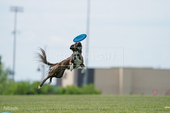 RielVisuals_20240525_124200_SJR00908