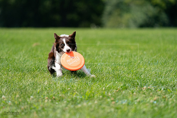 RielVisuals_20240728_120956_SJR03154