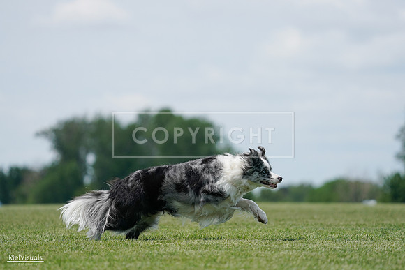 RielVisuals_20240525_123600_SJR00505