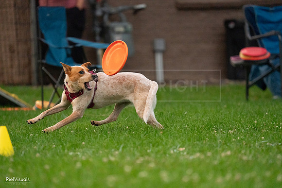 RielVisuals_20240722_200405_SJR02767