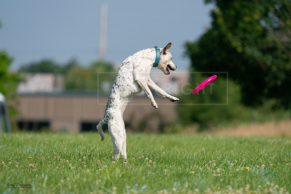 RielVisuals_20240727_095414_SJR07965