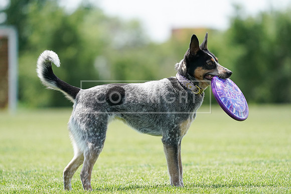 RielVisuals_20240525_122327_SJR09712