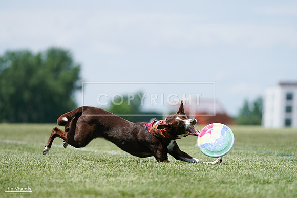 RielVisuals_20240525_121934_SJR09496