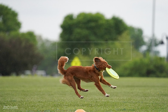 RielVisuals_20240526_093152_SJR00316