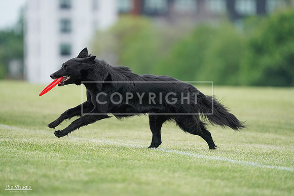 RielVisuals_20240525_165019_SJR05597