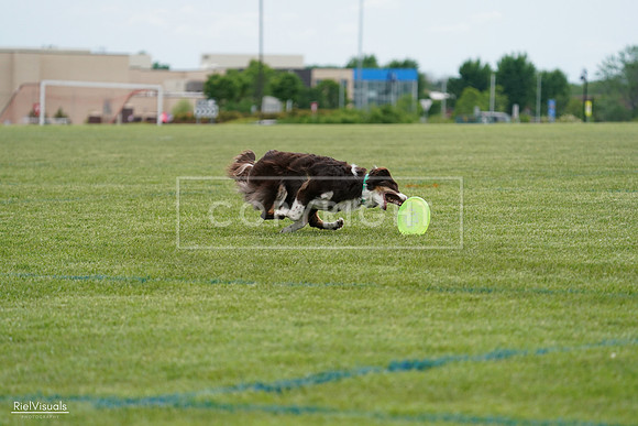 RielVisuals_20240525_155955_SJR03130