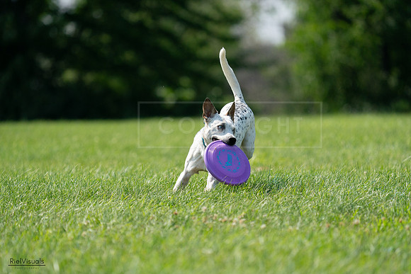 RielVisuals_20240728_151531_SJR00412