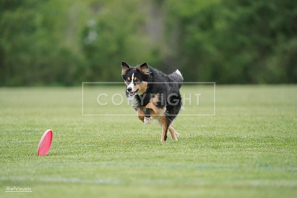 RielVisuals_20240525_171321_SJR06433