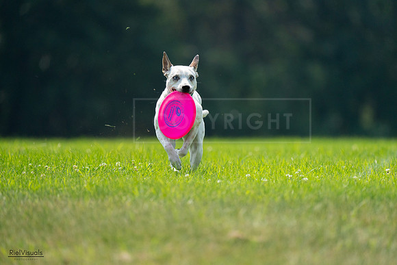 RielVisuals_20240727_120958_SJR04900