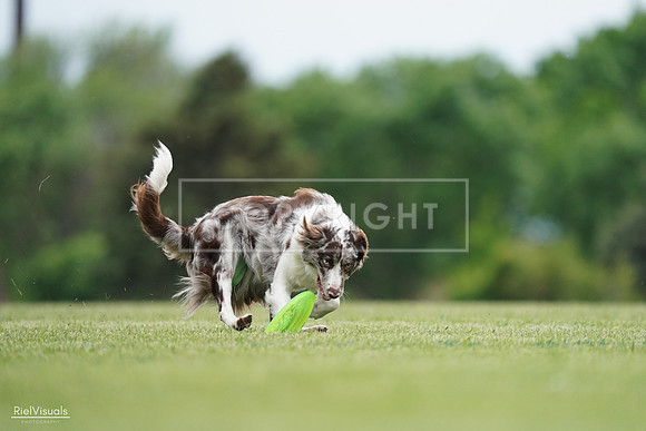 RielVisuals_20240525_161039_SJR03651