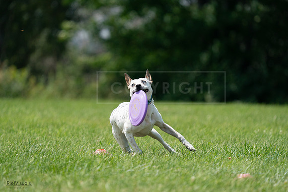 RielVisuals_20240728_133523_SJR06654