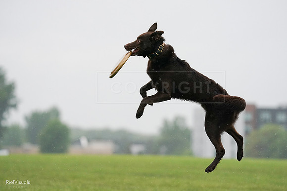 RielVisuals_20240527_104033_SJR01101