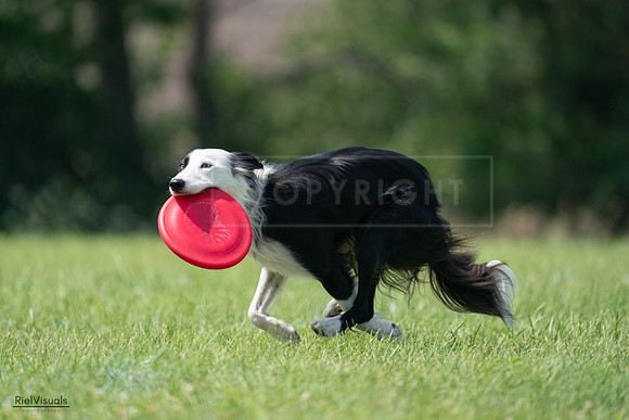 RielVisuals_20240728_142052_SJR08072