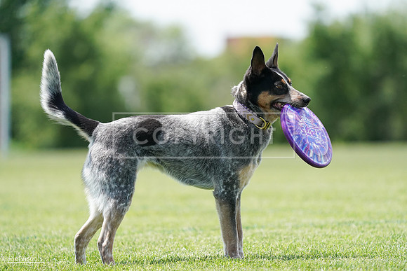 RielVisuals_20240525_122327_SJR09714