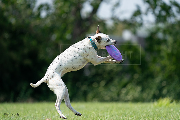 RielVisuals_20240728_144201_SJR08920