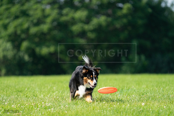 RielVisuals_20240728_100351_SJR07105