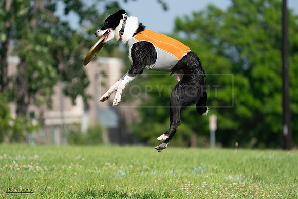 RielVisuals_20240728_101539_SJR07565