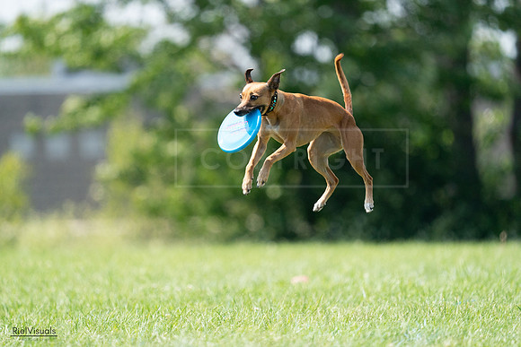 RielVisuals_20240728_150247_SJR09979
