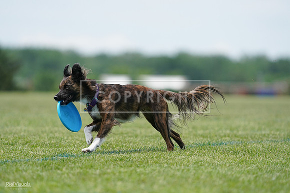 RielVisuals_20240525_124036_SJR00777
